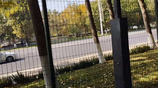 ТАШКЕНТ CENTRAL PARK ТЕЛЬМАНА СЕГОДНЯ / Осень 2023, Узбекистан #ташкент #узбекистан #сегодня #парк
