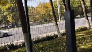 ТАШКЕНТ CENTRAL PARK ТЕЛЬМАНА СЕГОДНЯ / Осень 2023, Узбекистан #ташкент #узбекистан #сегодня #парк