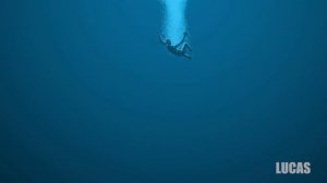 Что будет если ЧЕЛОВЕКА ПРОГЛОТИТ КИТ?!