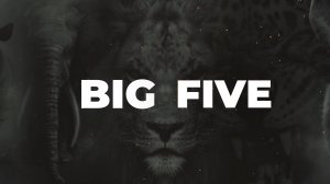 Эксклюзивный закрытый VIP - показ Big Five 2021 Технодом