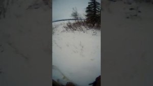 На мотобуксировщике РАЙДА проверка кулёмок.