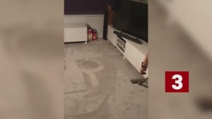 Ох, уж, эти пылесосы)