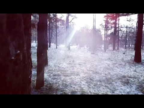 First snow [Zatriz 2017]