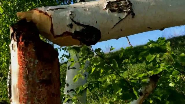 Рыбалка на щуку! Как не надо ловить рыбу! смотреть онлайн