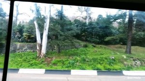 Абхазия 2023?Старая Гагра?Знаменитая колоннада ⛲Снимался фильм "Зимний вечер в Гаграх"??