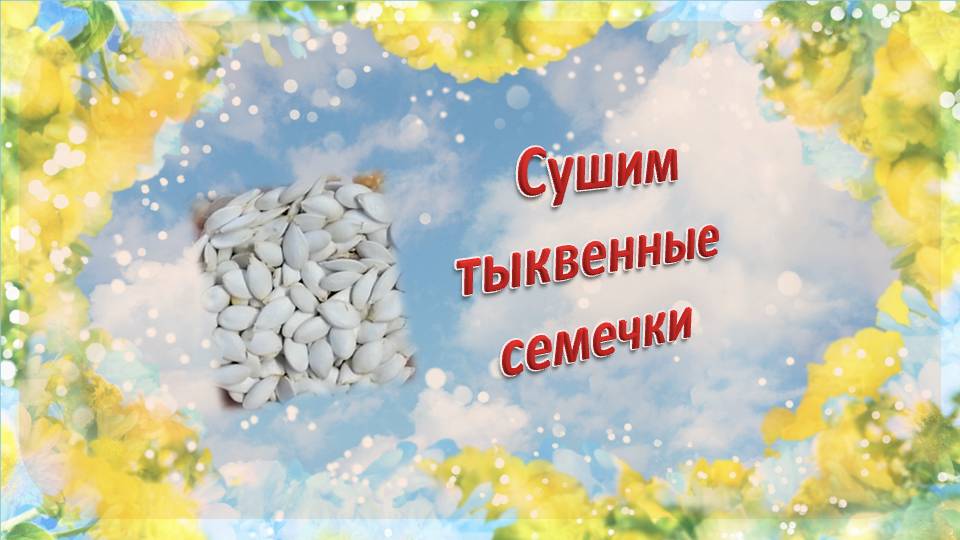 Польза тыквенных семечек