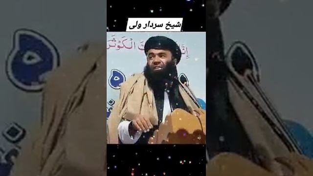 Bya Ba Me Gore Tasweran Hu Za Ba Na Yam | Sheikh Sardar Wali | New Pashto Nazam