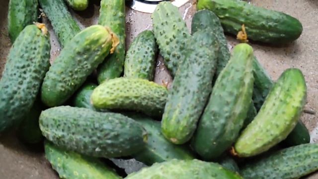 Маринованные огурчики. Невероятно вкусно!!!