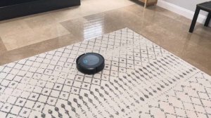 Cheeky’s Roomba Review