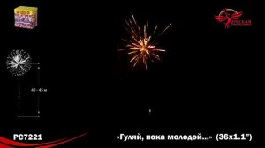 салют Гуляй пока молодой 1,1х36 PC7221
