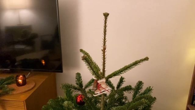 украшаем ёлку, Не один дома - первые впечатления I влогмас день 13 смотреть онлайн