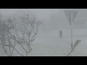 Снежный циклон пришёл на территорию округа в ночь с 11 на 12 марта❗