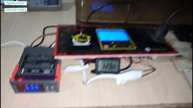 1st Eggs Try in 360 Eggs Fully Automatic Incubator Own Pre Modified HHD Blue Star смотреть онлайн