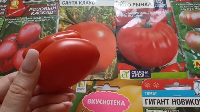 Самый худший томат по вашему мнению.Отстаиваю своё мнение ???