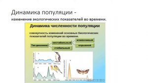 Экологические характеристики популяции