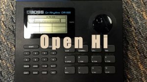 Boss DR-550