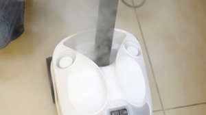 пар из пробки пароочистителя sc4