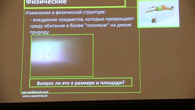 4 часть, Поведение собак и кошек, Гонсало Перейра (Португалия), ветеринарная конференция, лекция смотреть онлайн