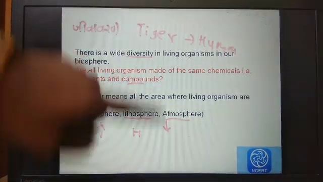 Biomolecules Lecture 1