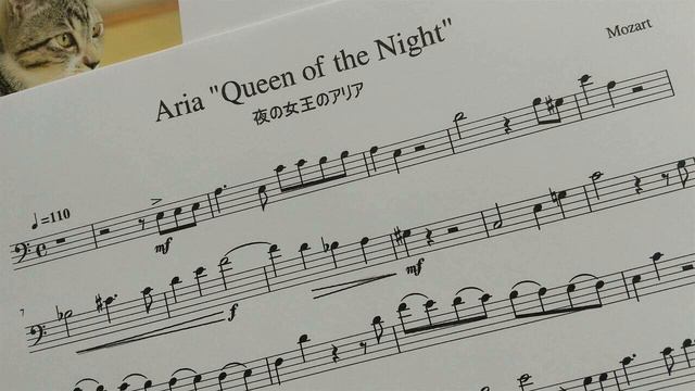 モーツァルト「夜の女王のアリア（魔笛）」チェロ演奏用 / Mozart "Aria Queen of the Night" for cello players смотреть онлайн