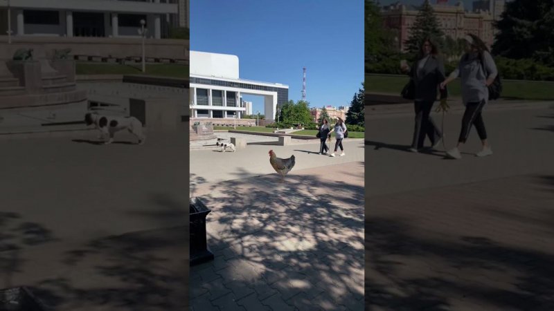 Карточка видео