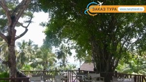 DIANI REEF BEACH RESORT & SPA 5 Момбаса отзывы – ДИАНИ РИФ БИЧ РЕЗОРТ ЭНД СПА 5 Момбаса отзывы виде