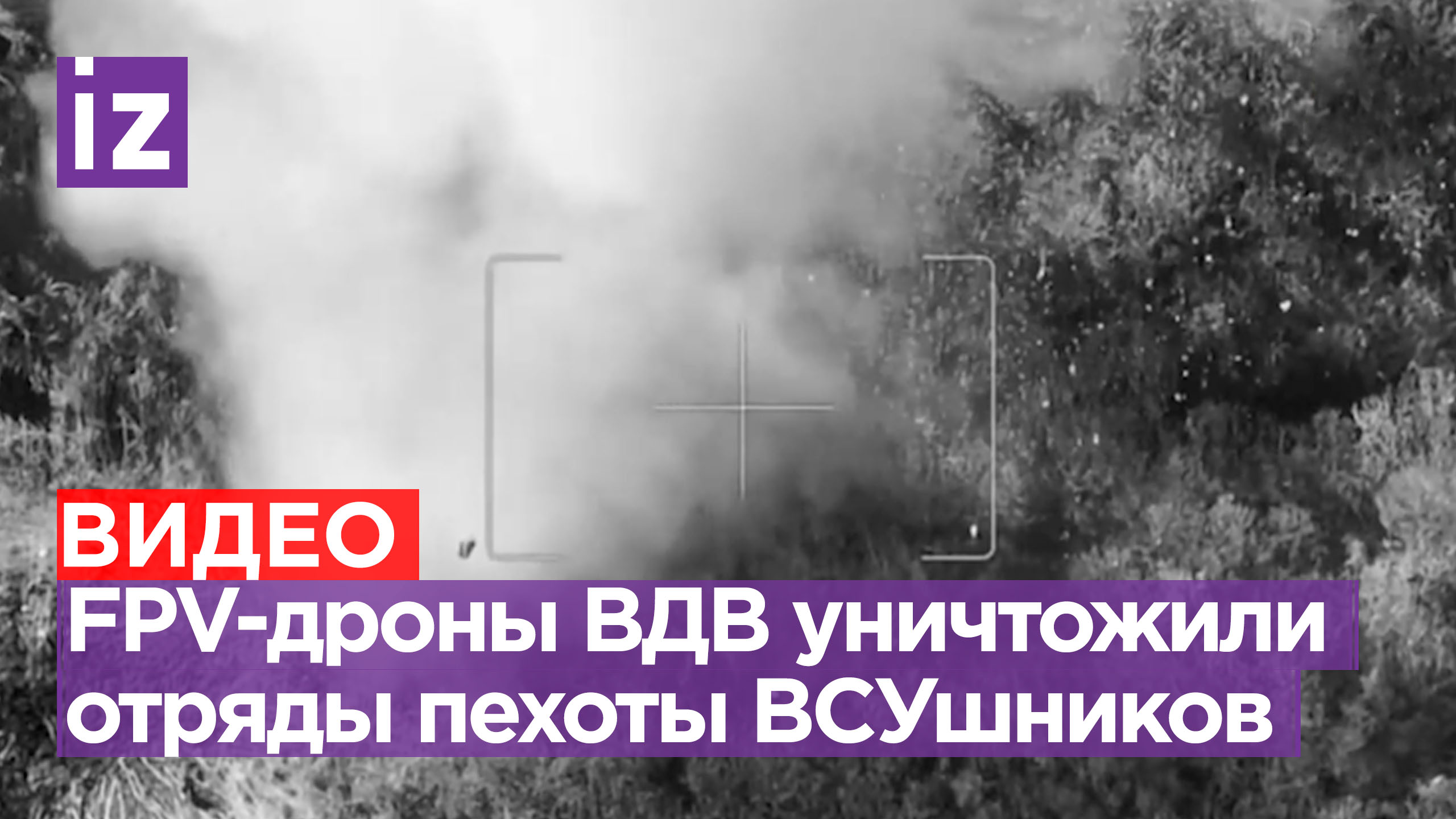 Расчеты FPV-дронов ВДВ разгромили пехоту ВСУ / Известия