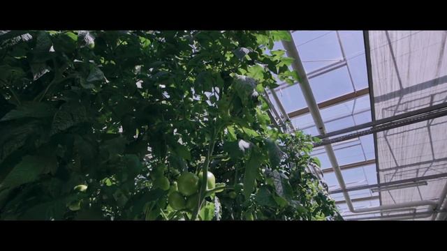 ГУП ВОСХП "ЗАРЯ" смотреть онлайн