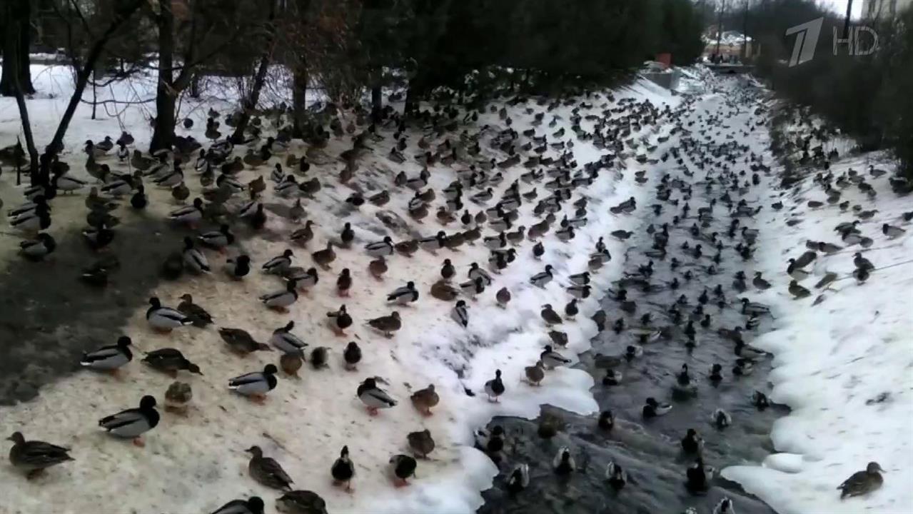 В Петергофе появилась новая достопримечательность