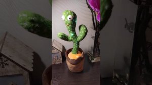 Танцующий кактус