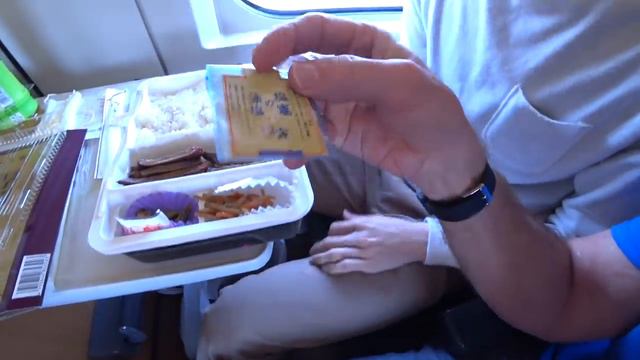 Eating Lunch Boxes aboard Bullet Train (駅弁 Ekiben) - Eric Meal Time #563 смотреть онлайн