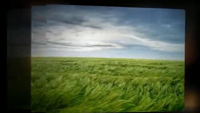 The Broken Tower Hart Crane смотреть онлайн