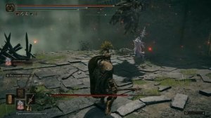 Все ПРАХИ в Elden Ring и выбор лучшего спутника