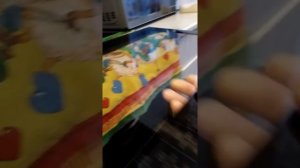 Как помыть дверцу духовки на электрической плите ХАНСА