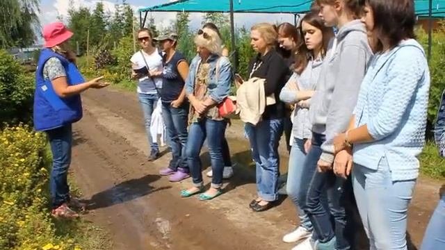 Цветовое сочетание