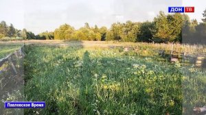 Кража в селе Воронцовка. г. Павловск Воронежской обл