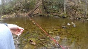 62 TROUT caught in under 3 hours...UNREAL DAY OF FISHING!