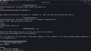 10.10. WP Plugin - Arbitrary File Upload Vulnerability