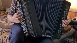 Популярные мелодии на тульском цельнопланочном баяне.