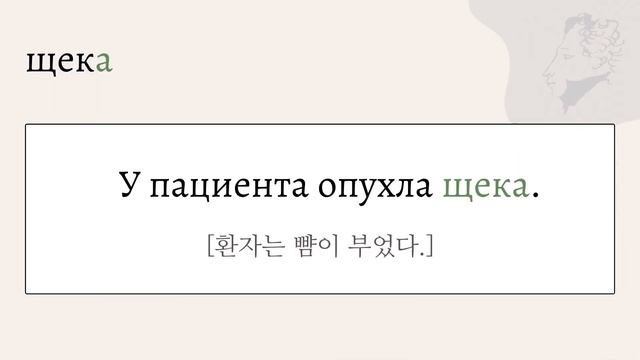 4강. 신체, 외모 part 1 | 자면서 듣는 러시아어 | 반복재생 | 토르플필수어휘| 토르플기본단계대비