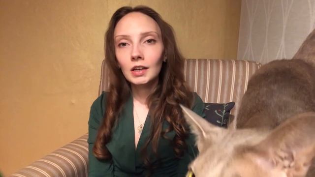 Влюблённость и танцы. Почему не люблю танцевать. Кот будет. Болталка смотреть онлайн