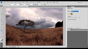 como fazer o efeito grama seca no photoshop cs4
