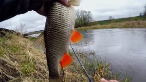 ТАК Поймает КАЖДЫЙ! Секреты Ловли: Как ЛОВИТЬ на ПОРОЛОНКУ?!