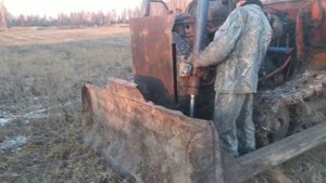 Корчуем березы ДТ 75, с двигателем от комбайна " Енисей".
