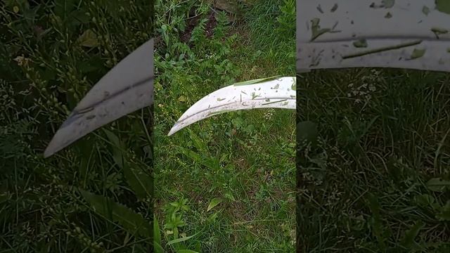 Купил в магазине новый серп.#деревня #огород #башкортостан #серп#лето#китай #сорняки#магазин смотреть онлайн