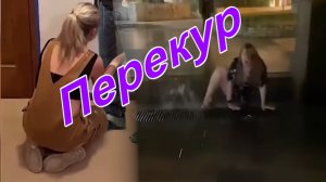 Насыщенная жизнь - Розыгрыши и удивительные трюки весёлых людей!!!?