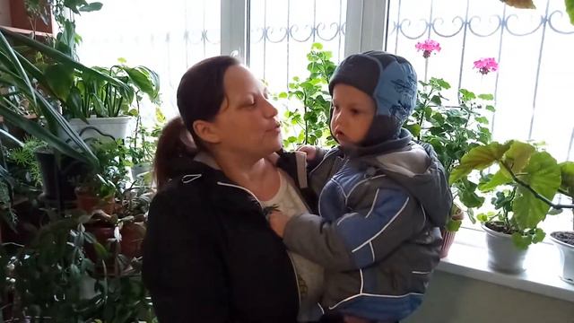 Отзыв пайщика кооператива Триумф-НК смотреть онлайн