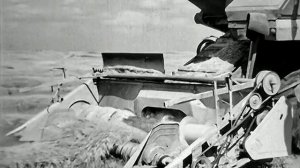 1978 год. Полтавская область. Уборка урожая