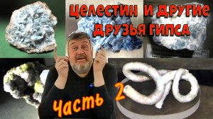 Целестин и его родственники. Часть 2. Сульфаты. Минералогия.