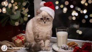 Heavenly Christmas Songs 2023 for a Deep Christmas Eve Sleep ? relaxation music for cheerful cats